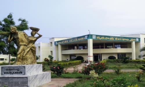 Agricultural College