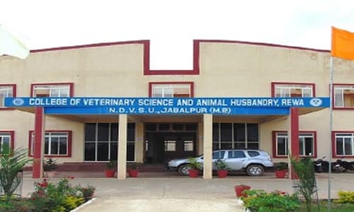 College Of Veterinary Science & Animal Husbandry, Rewa