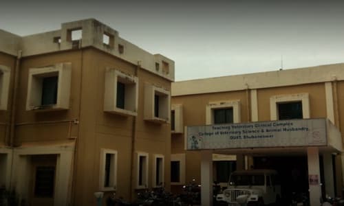 College Of Veterinary Science & Animal Husbandry