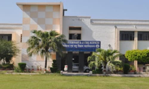 College Of Veterinary And Animal Science