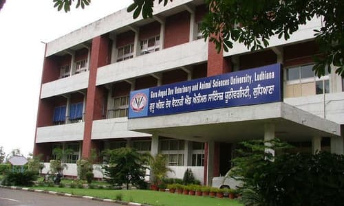 College of Veterinary  Science, Ludhiana