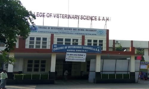 College Of Veterinary Science And Animal Husbandry